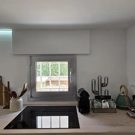 Duplex 2 Bedrooms Garden Cannes